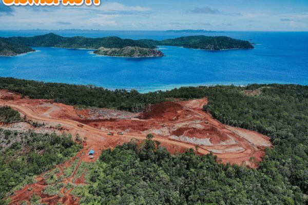 5 Perusahaan Tambang Ini Beroperasi di Raja Ampat, Ada yang Belum Kantongi izin Lingkungan